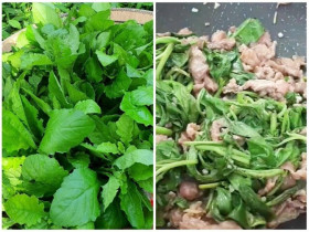 Cây này nghe tên lạnh cả gáy, xưa cho lợn ăn nay thành đặc sản, giá trên dưới 100.000đ/kg, cứ nhắc đến là ai cũng thích