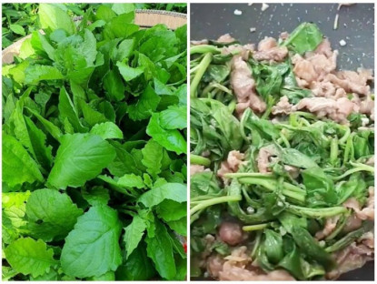Gia đình - Cây này nghe tên lạnh cả gáy, xưa cho lợn ăn nay thành đặc sản, giá trên dưới 100.000đ/kg, cứ nhắc đến là ai cũng thích