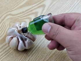 Cứ đến hè là mẹ chồng nhỏ ít dầu gió lên tỏi, tôi học theo và kết quả không ngờ