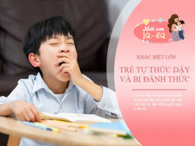 4 điểm khác biệt lớn giữa trẻ tự thức dậy và trẻ bị đánh thức khi ngủ