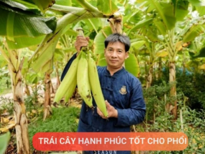 Thông tin doanh nghiệp - Loại quả được mệnh danh là “trái cây hạnh phúc”, rất giàu dinh dưỡng cho phổi, nhưng thường bị người Việt bỏ qua