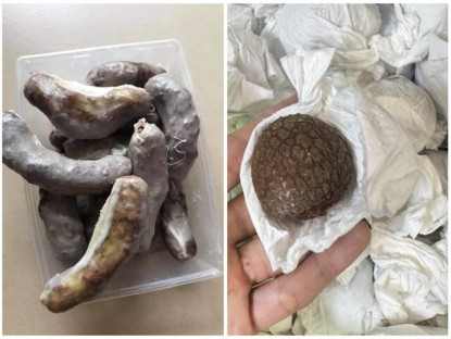 Gia đình - Những pha vào bếp cười ra nước mắt của hội chị em: Vui là chính, còn thành công… để mai tính!