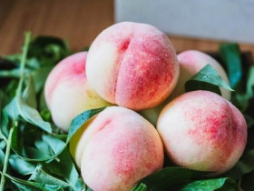 Khi mua đào nên chọn quả to hay nhỏ? Nhiều người không biết lại có sự khác biệt này