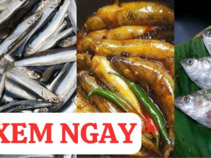 Thông tin doanh nghiệp - 3 loại cá rẻ tiền cực giàu canxi, tốt cho xương khớp 