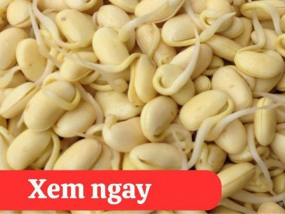 Thông tin doanh nghiệp - “Tái sinh” khớp gối với 2 món ăn được người xưa ví là “thần dược” phục hồi xương khớp 