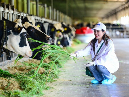 Thông tin doanh nghiệp - “Mở khóa tự nhiên”: Vinamilk biến rào cản thành vòng tuần hoàn xanh tại trang trại sinh thái