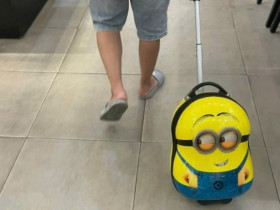 Từng bị cười chê vì mang vali đi mua thứ này, giờ ôm lãi hàng trăm triệu đồng sau vài tháng