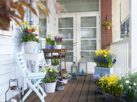 3 loại cây nên đặt trước cửa nhà, không chỉ đẹp mà còn giúp gia chủ gấp đôi may mắn, xua đuổi vận xui