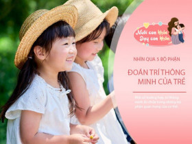 Trẻ thông minh hay không phụ thuộc vào 5 bộ phận trên cơ thể, bố mẹ học cách hướng dẫn con đúng