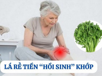 Thông tin doanh nghiệp - Loại lá mọc hoang đầy vườn nhưng là “khắc tinh” của bệnh xương khớp