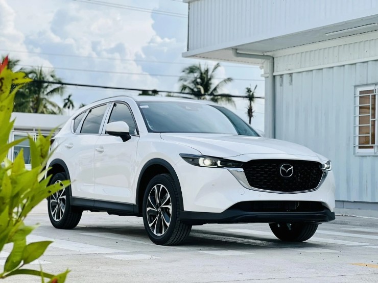 Mẫu SUV, crossover nào được người Việt chuộng nhất nửa đầu năm 2025 - 1