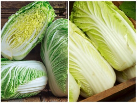 Mua cải thảo nên chọn cây xanh hay trắng, người trồng mách đừng có mua nhầm kẻo nấu xong mất ngon