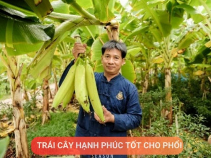 Thông tin doanh nghiệp - Loại quả được mệnh danh là “trái cây hạnh phúc”, rất giàu dinh dưỡng cho phổi, nhưng thường bị người Việt bỏ qua