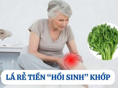 Thông tin doanh nghiệp - Loại cây mọc hoang đầy vườn nhưng là “khắc tinh” của bệnh xương khớp