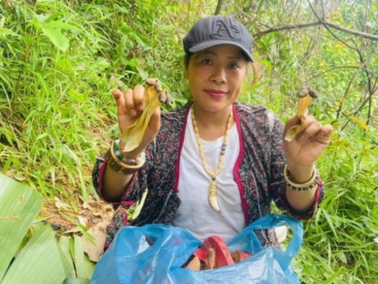 Kinh tế - Lộc rừng từ trên cây bay xuống đất, dân thi nhau đi nhặt về bán với giá 600 nghìn đồng/kg