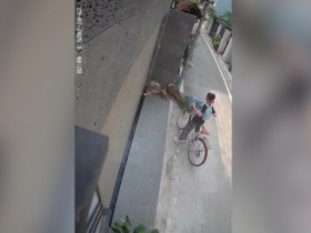 Clip: Bé gái mất lái xe đạp, “hạ gục” chậu cây cảnh trước cửa nhà dân