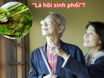 Thông tin doanh nghiệp - Loại lá ví như &quot; hồi sinh phổi&quot; ở Nhật cực đắt đỏ nhưng ở Việt Nam “rẻ như cho”