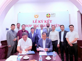 Việt Nam - Bồ Đào Nha hợp tác và thúc đẩy phát triển công nghiệp văn hóa