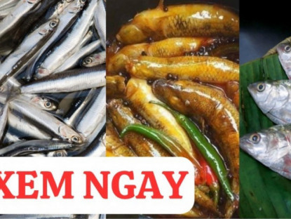 Thông tin doanh nghiệp - 3 loại cá “nhỏ mà có võ” cực giàu canxi, tốt cho xương khớp 