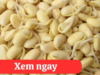 Thông tin doanh nghiệp - “Tái sinh” khớp gối với 2 món ăn được người xưa ví là “thần dược” phục hồi xương khớp 