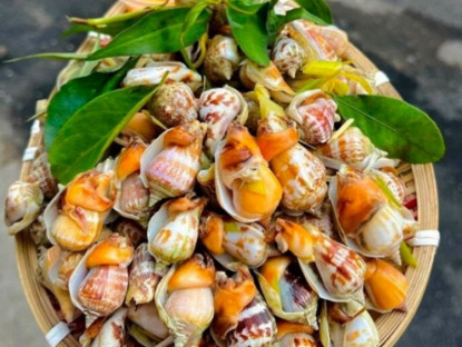 Kinh tế - Loài đặc sản có tên &quot;ngượng đỏ mặt&quot;, nay hoá mỏ tiền dân bắt về bán giá tới 200.000 đồng/kg