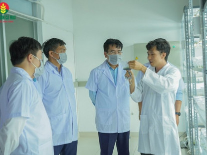 Thông tin doanh nghiệp - R&amp;D PVCFC chiến lược phát triển lõi, bệ phóng tăng trưởng dài hạn của DCM
