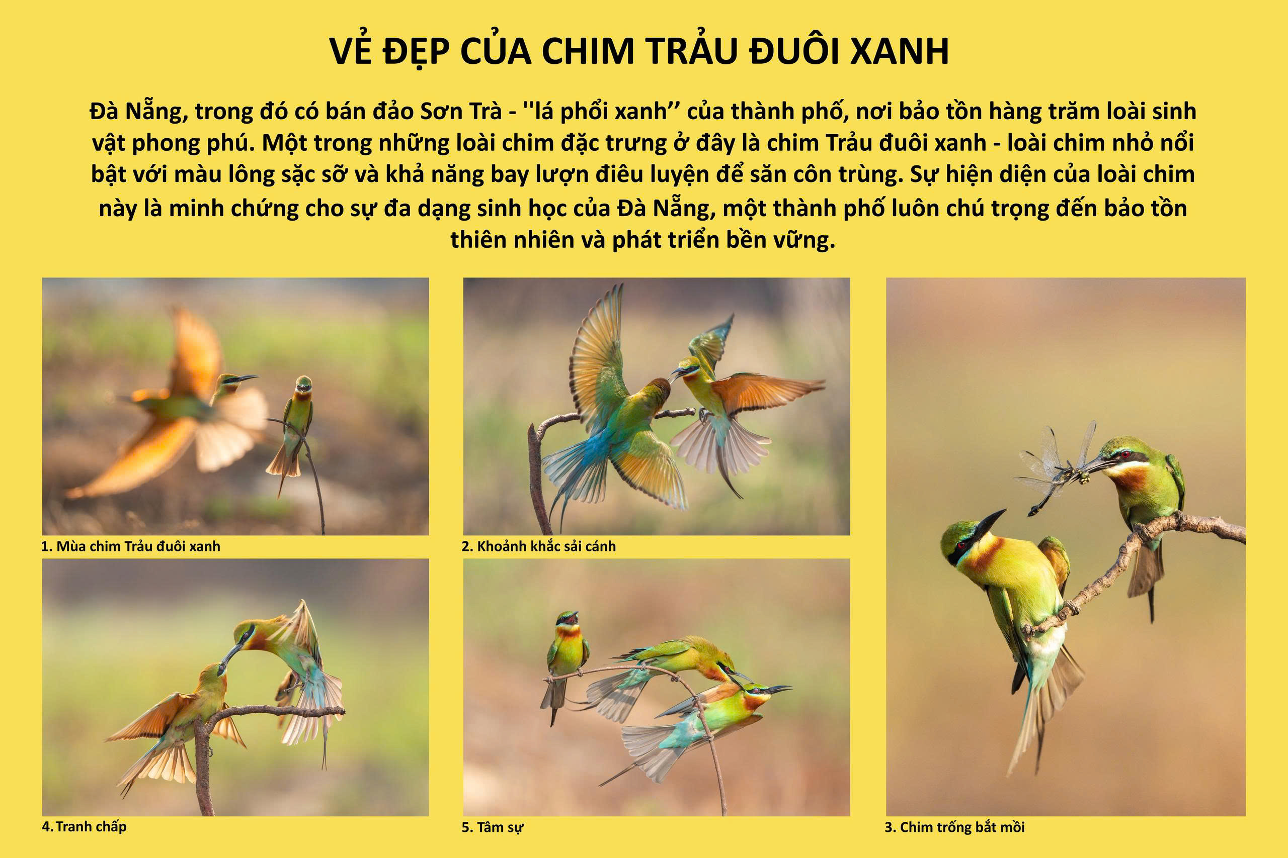 Vinh danh 17 tác phẩm xuất sắc tại Festival Nhiếp ảnh trẻ lần thứ VI, năm 2025 - 8