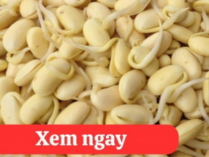 Thông tin doanh nghiệp - “Tái sinh” khớp gối với 2 món ăn được người xưa ví là “thần dược” phục hồi xương khớp 