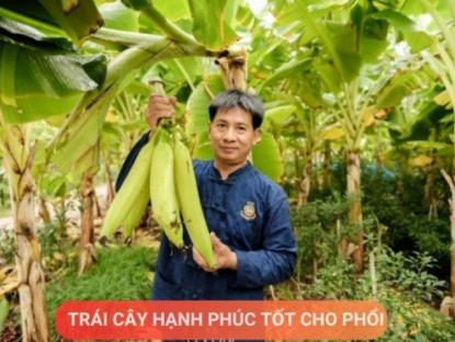 Thông tin doanh nghiệp - Loại quả được mệnh danh là “trái cây hạnh phúc”, rất giàu dinh dưỡng cho phổi, nhưng thường bị người Việt bỏ qua