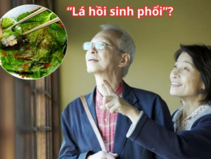 Thông tin doanh nghiệp - Loại lá ví như &quot; hồi sinh phổi&quot; ở Nhật cực đắt đỏ nhưng ở Việt Nam “rẻ như cho”