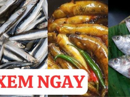 Thông tin doanh nghiệp - 3 loại cá cực giàu canxi, tốt cho xương khớp 