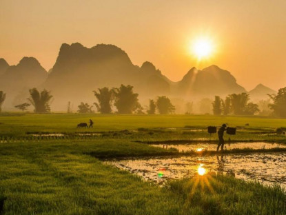 Văn thơ - Ngụm chiều vàng óng