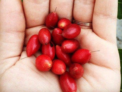 Thông tin doanh nghiệp - Mất ngủ, trằn trọc khó ngủ, tỉnh giấc giữa đêm: Làm đúng 1 bước này là ngủ liền một mạch