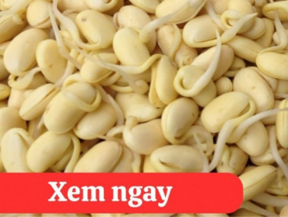 Thông tin doanh nghiệp - “Tái sinh” khớp gối với 2 món ăn được người xưa ví là “thần dược” phục hồi xương khớp