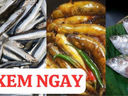 Thông tin doanh nghiệp - 3 loại cá cực giàu canxi, tốt cho xương khớp