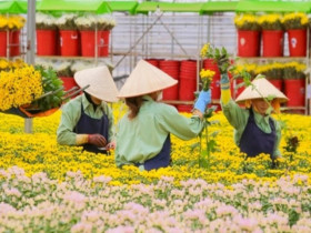 Kinh tế 24h: Chuỗi hoa tươi lớn nhất Việt Nam thâu tóm doanh nghiệp Australia