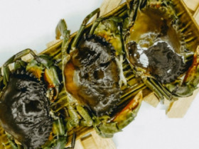 Loài cua hiếm ở Việt Nam sánh ngang tôm hùm Alaska, trông khù khờ chậm chạp nhưng giá gần 1 triệu/kg