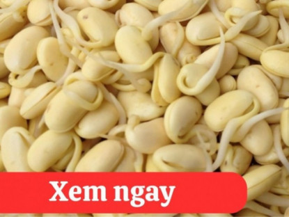 Thông tin doanh nghiệp - “Tái sinh” khớp gối với 2 món ăn được người xưa ví là “thần dược” phục hồi xương khớp