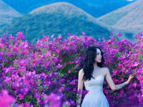 Giới trẻ 