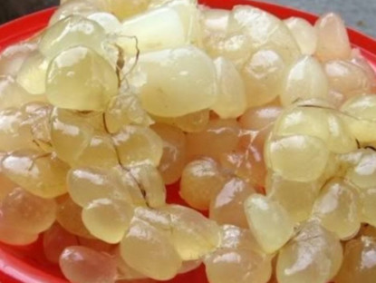 Thông tin doanh nghiệp - Mẹ chồng nằm liệt lở loét da hoại tử: Con dâu làm điều này khiến ai ai cũng bất ngờ
