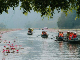 Hoa súng đầu thu ở Tam Cốc khiến du khách quên lối về