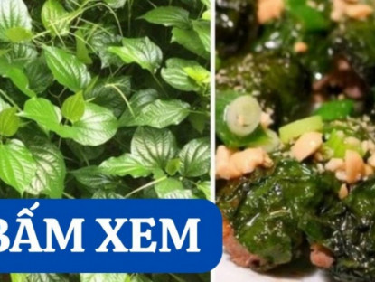Thông tin doanh nghiệp - Loại rau “khắc tinh” của đau nhức xương khớp: Đem cuốn thịt, già trẻ đều mê