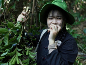 Cô gái phát hiện cây rừng mọc dại lại là đặc sản nhiều người lùng mua, hái về bán được cả triệu đồng