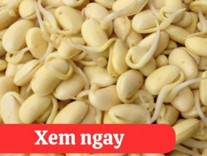 Thông tin doanh nghiệp - “Tái sinh” khớp gối với món ăn được người xưa ví là “thần dược” hỗ trợ phục hồi xương khớp