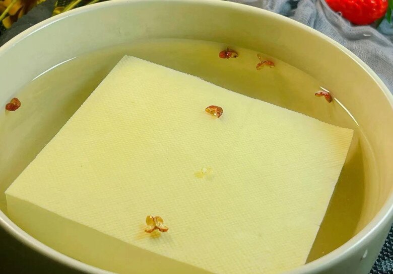 Bảo quản đậu phụ cho thẳng vào tủ lạnh là sai lầm lớn! Ông chủ bán đậu mách bạn 2 mẹo hay, để 10 ngày vẫn tươi nguyên - 5