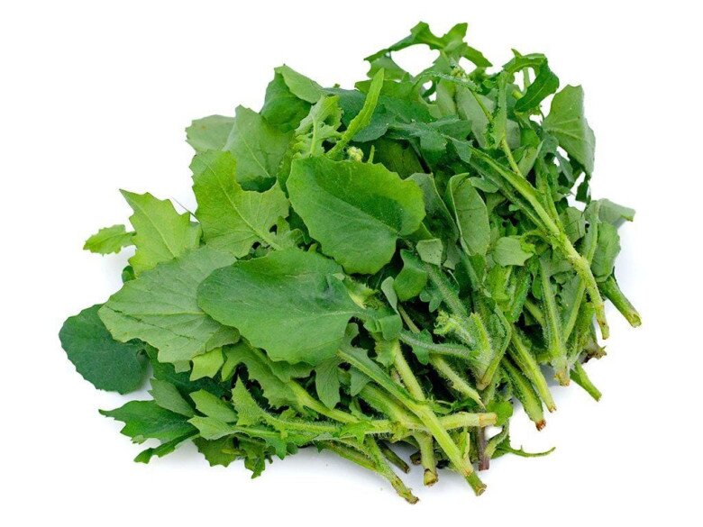 Cây này nghe tên lạnh cả gáy, xưa cho lợn ăn nay thành đặc sản, giá trên dưới 100.000đ/kg, cứ nhắc đến là ai cũng thích - 2
