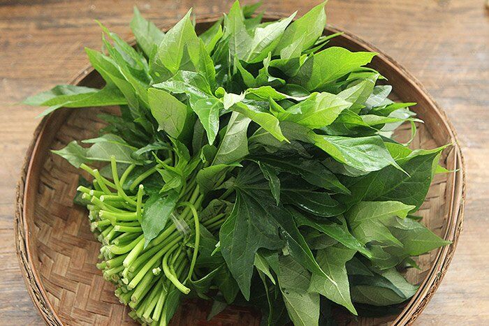 Cây này tưởng chỉ lấy củ nhưng phần lá tốt như thần dược, đem xào hay luộc đều ngon, tốt cho sức khỏe - 1