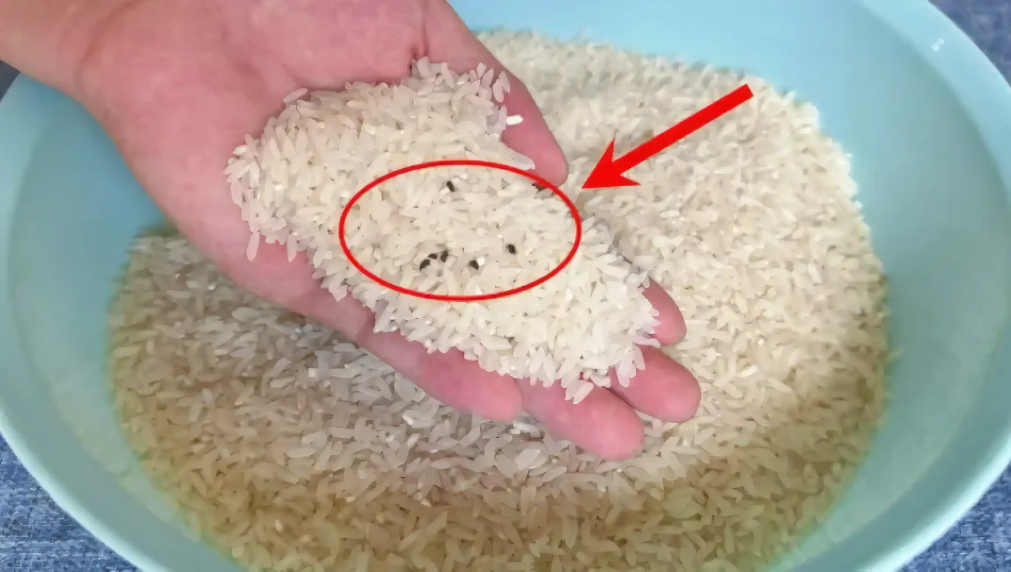 Gạo bị mọt đừng đem phơi nắng nữa! Hãy thử 4 mẹo này, chỉ cần đặt một chút vào bao gạo, cả năm không lo sâu mọt - 1