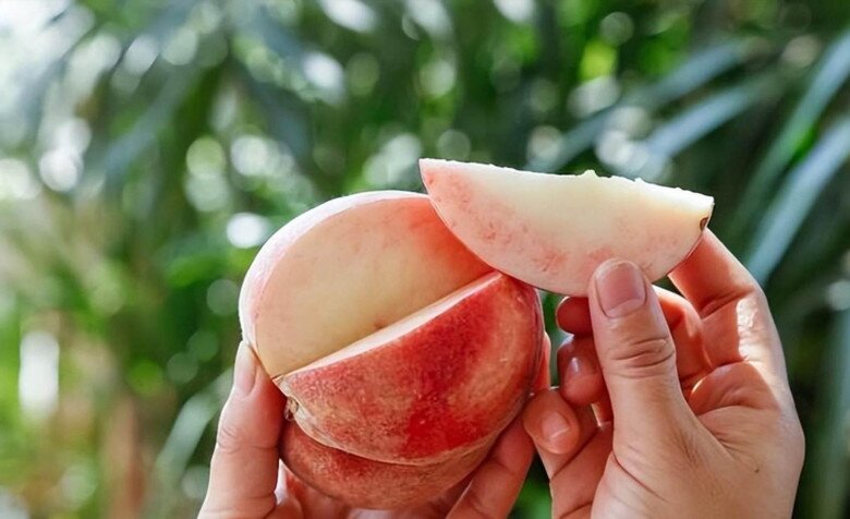 Khi mua đào nên chọn quả to hay nhỏ? Nhiều người không biết lại có sự khác biệt này - 4
