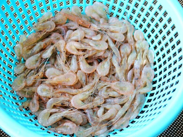 Lá này rẻ bèo nhưng giúp giải độc gan, sáng mắt, đem rang với tôm sông được món cực ngon - 1